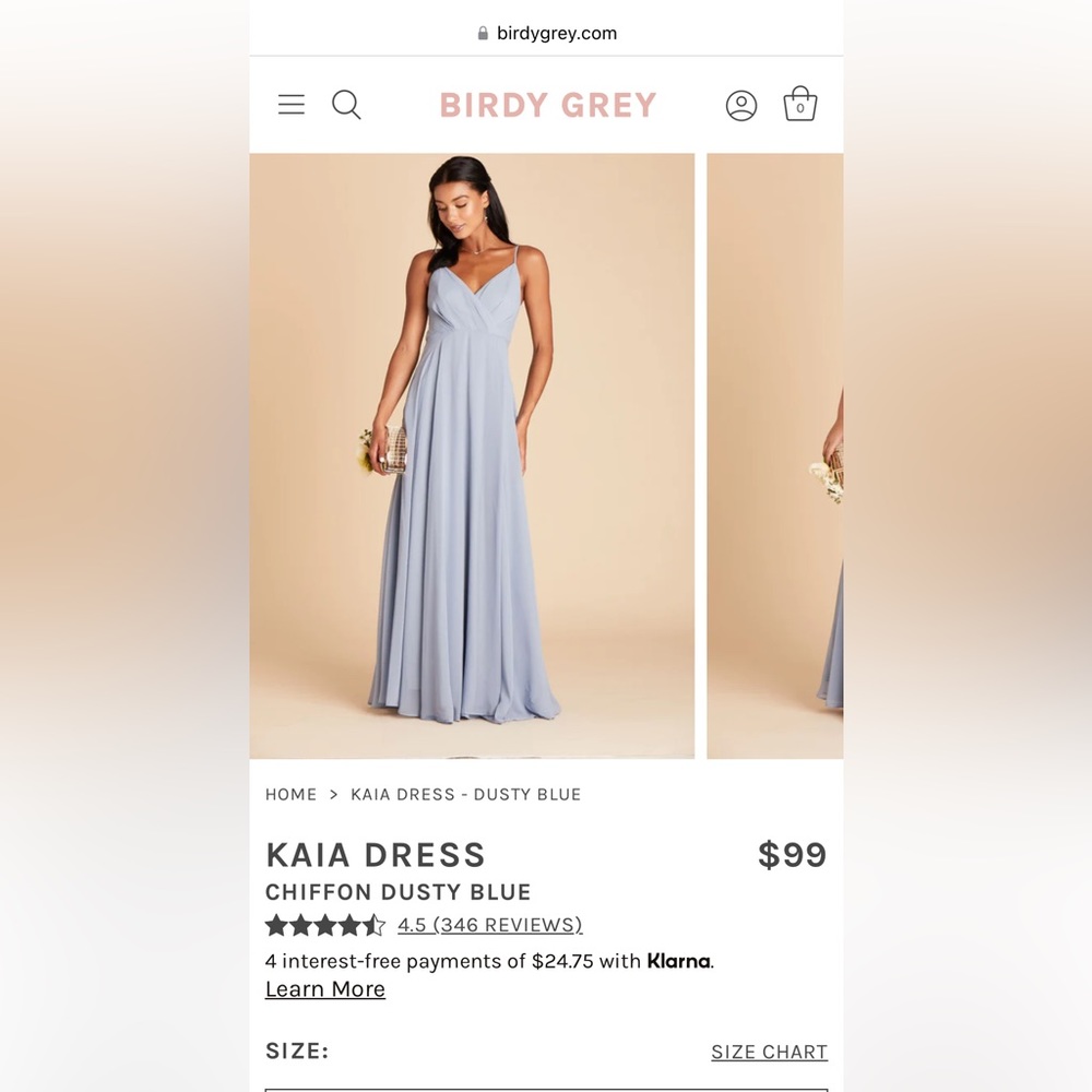 Birdy Grey bridesmaid dress, CHIFFON DUSTY BLUE, kaia dress, size medium
